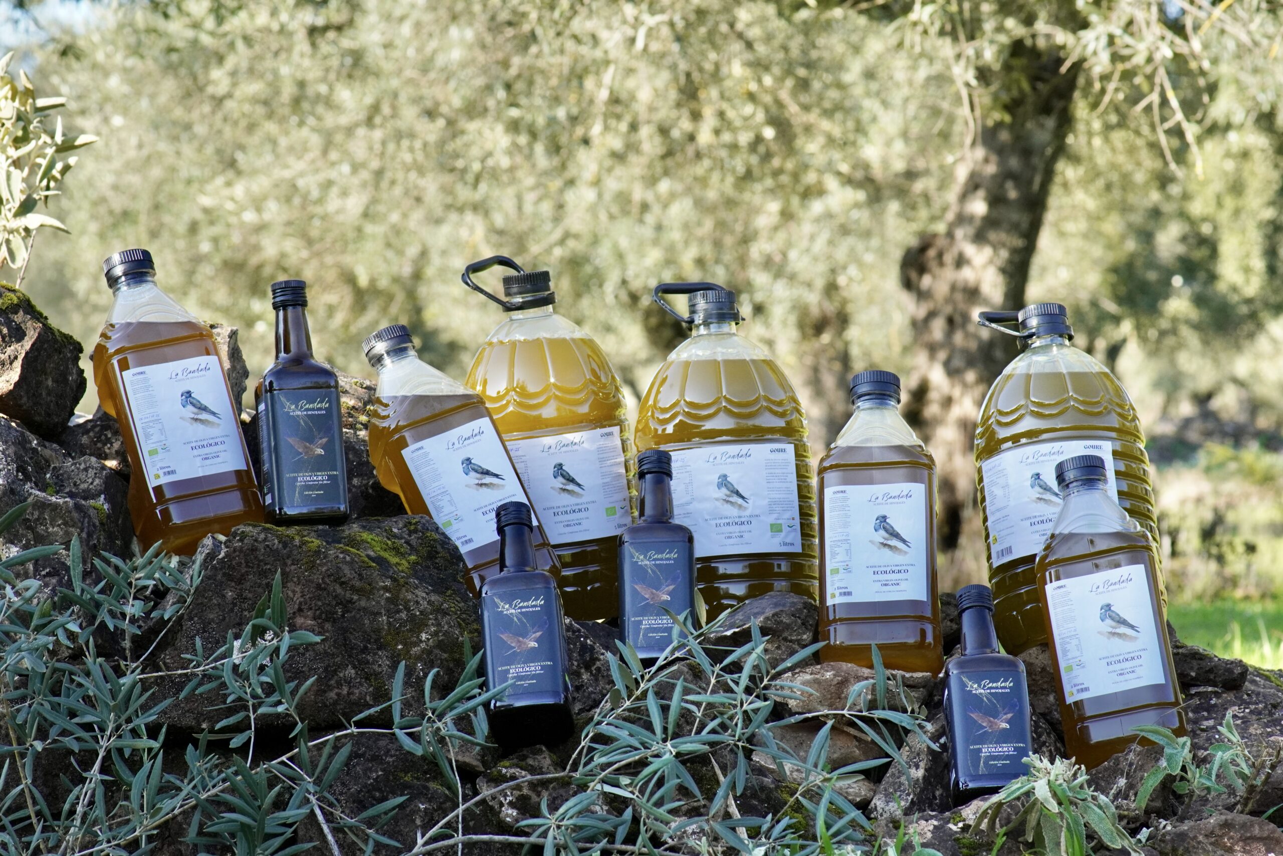 Aceite de Oliva Virgen Extra Ecológico de Montaña - 500ml - Imagen 5