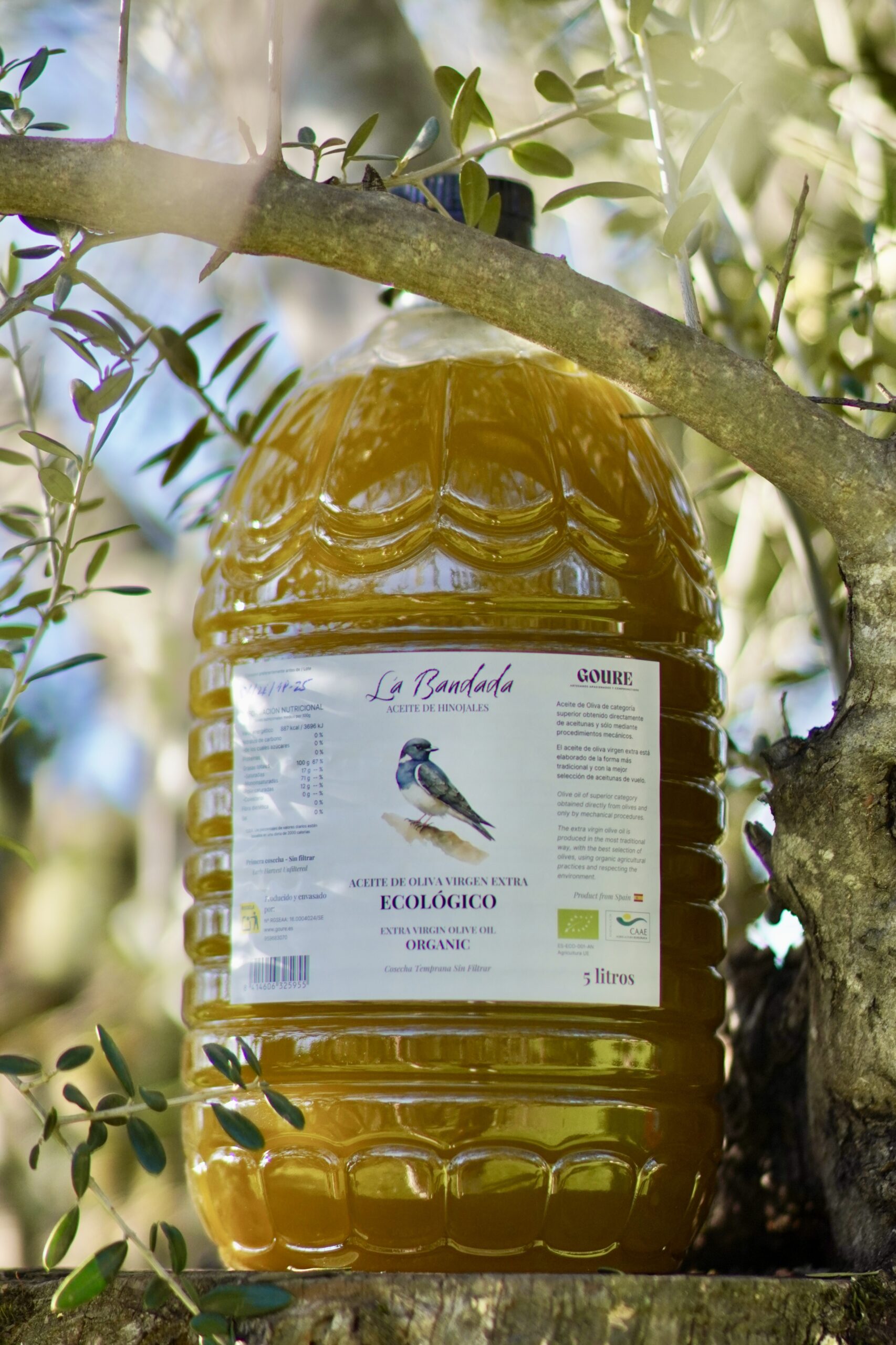 Aceite de Oliva Virgen Extra Ecológico de Montaña - 5L - Imagen 2