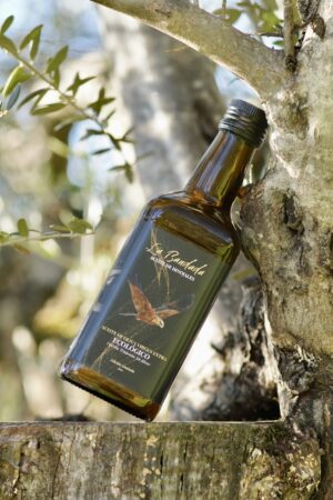 Aceite de Oliva Virgen Extra Ecológico de Montaña - 500ml